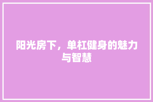 阳光房下，单杠健身的魅力与智慧