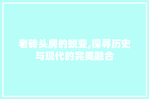 老砖头房的蜕变,探寻历史与现代的完美融合