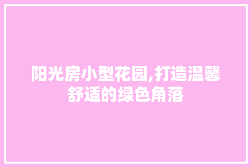 阳光房小型花园,打造温馨舒适的绿色角落
