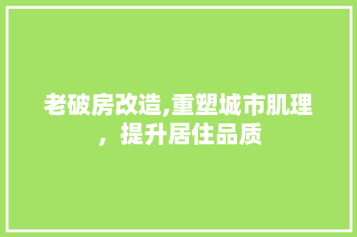 老破房改造,重塑城市肌理，提升居住品质