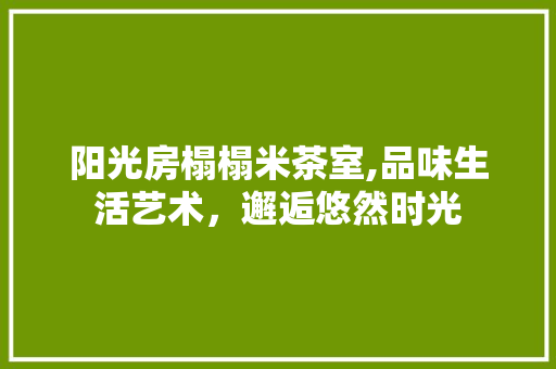 阳光房榻榻米茶室,品味生活艺术，邂逅悠然时光