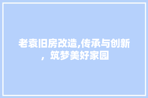 老袁旧房改造,传承与创新，筑梦美好家园