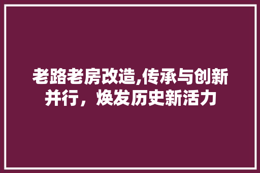 老路老房改造,传承与创新并行，焕发历史新活力
