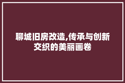 聊城旧房改造,传承与创新交织的美丽画卷