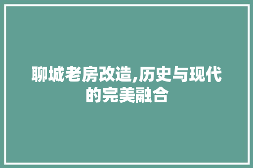 聊城老房改造,历史与现代的完美融合