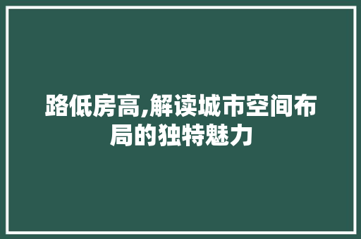 路低房高,解读城市空间布局的独特魅力