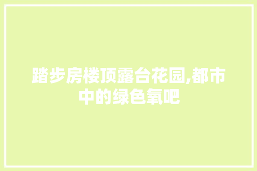 踏步房楼顶露台花园,都市中的绿色氧吧
