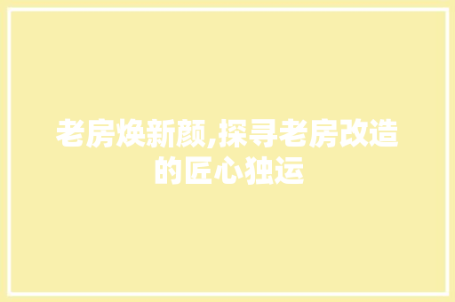 老房焕新颜,探寻老房改造的匠心独运