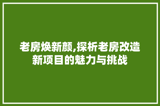 老房焕新颜,探析老房改造新项目的魅力与挑战