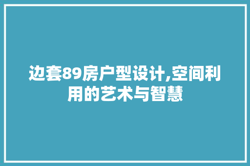 边套89房户型设计,空间利用的艺术与智慧