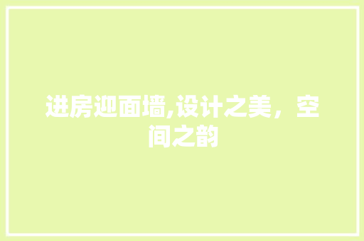 进房迎面墙,设计之美，空间之韵