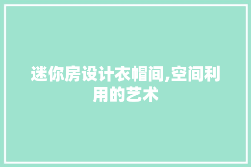 迷你房设计衣帽间,空间利用的艺术