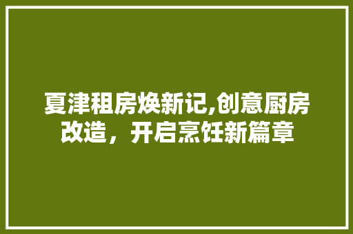 夏津租房焕新记,创意厨房改造，开启烹饪新篇章