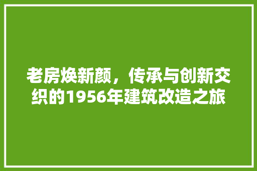老房焕新颜，传承与创新交织的1956年建筑改造之旅
