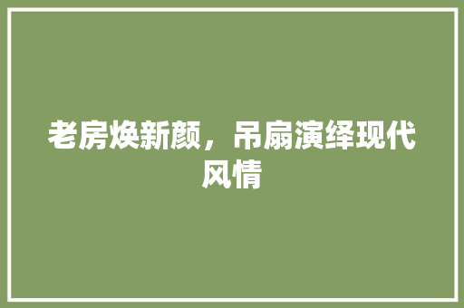老房焕新颜，吊扇演绎现代风情