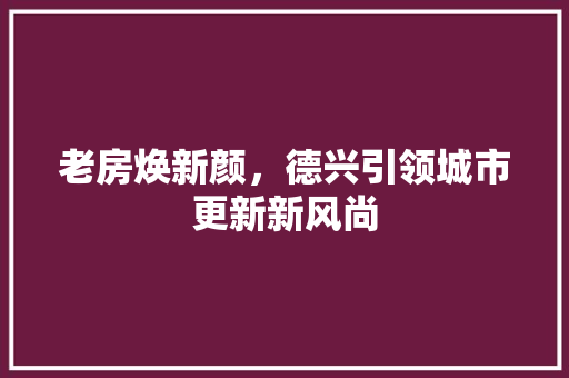 老房焕新颜，德兴引领城市更新新风尚
