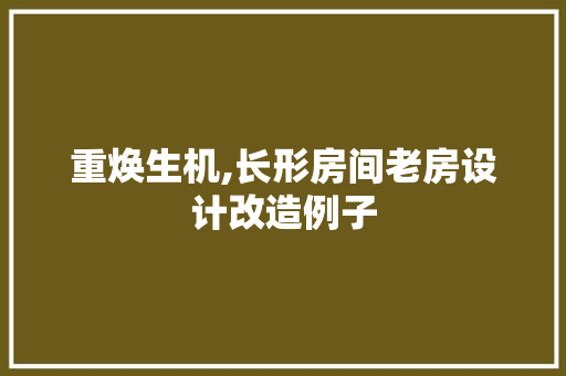 重焕生机,长形房间老房设计改造例子