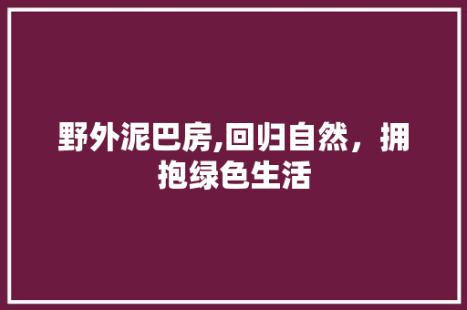 野外泥巴房,回归自然，拥抱绿色生活