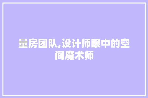 量房团队,设计师眼中的空间魔术师