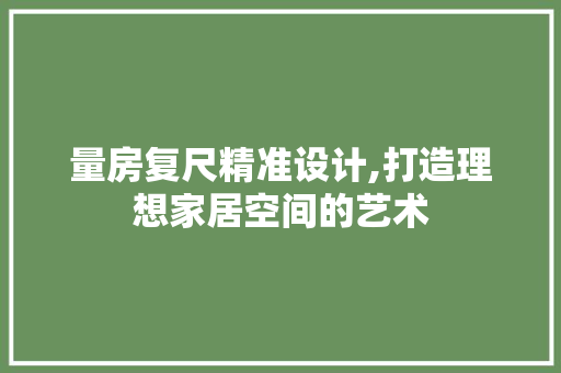 量房复尺精准设计,打造理想家居空间的艺术