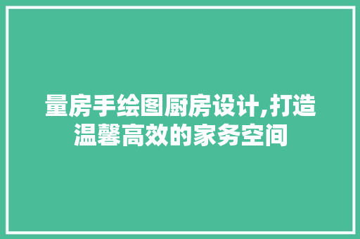 量房手绘图厨房设计,打造温馨高效的家务空间
