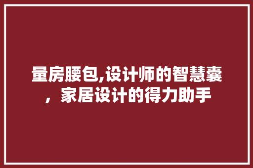 量房腰包,设计师的智慧囊，家居设计的得力助手
