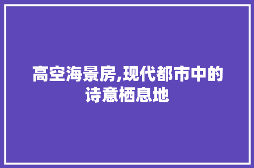 高空海景房,现代都市中的诗意栖息地