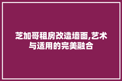 芝加哥租房改造墙面,艺术与适用的完美融合