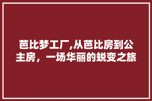 芭比梦工厂,从芭比房到公主房，一场华丽的蜕变之旅