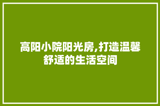 高阳小院阳光房,打造温馨舒适的生活空间