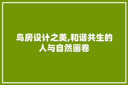 鸟房设计之美,和谐共生的人与自然画卷