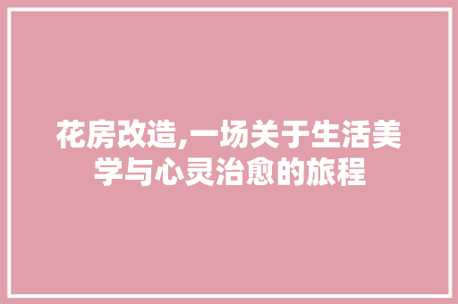 花房改造,一场关于生活美学与心灵治愈的旅程