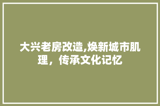 大兴老房改造,焕新城市肌理，传承文化记忆