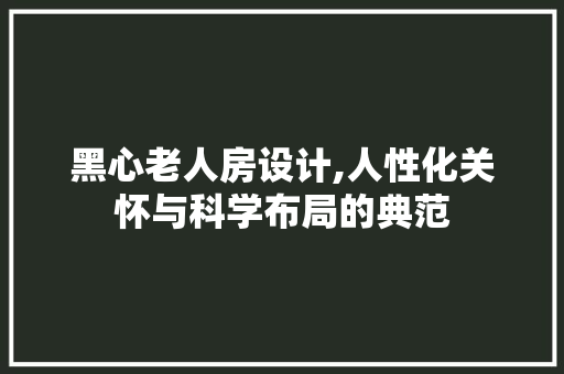 黑心老人房设计,人性化关怀与科学布局的典范