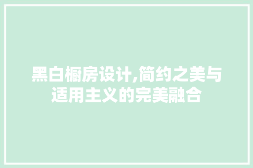 黑白橱房设计,简约之美与适用主义的完美融合