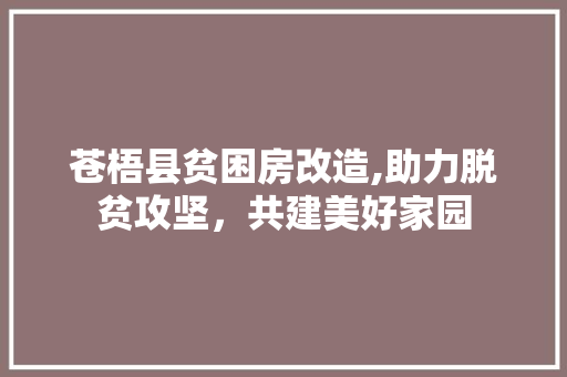 苍梧县贫困房改造,助力脱贫攻坚，共建美好家园