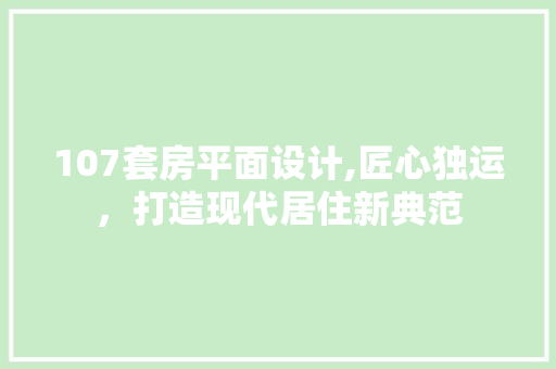 107套房平面设计,匠心独运，打造现代居住新典范