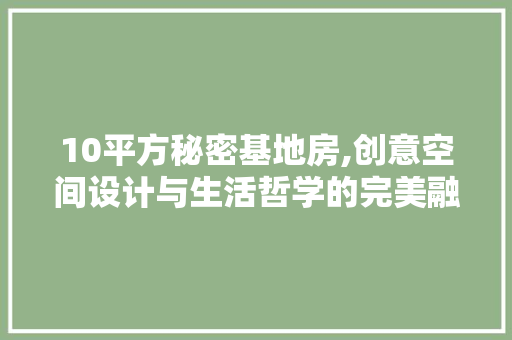 10平方秘密基地房,创意空间设计与生活哲学的完美融合