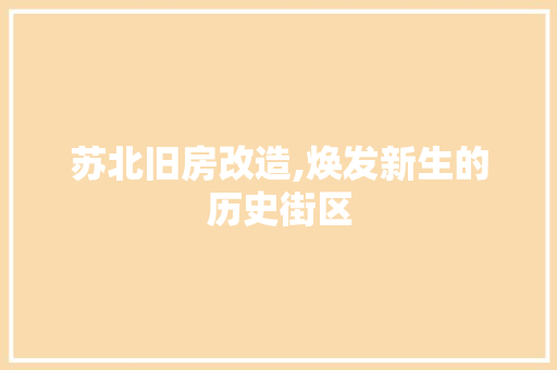 苏北旧房改造,焕发新生的历史街区