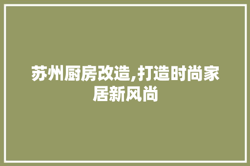 苏州厨房改造,打造时尚家居新风尚