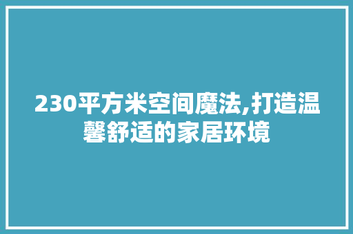230平方米空间魔法,打造温馨舒适的家居环境