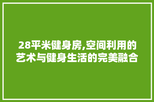 28平米健身房,空间利用的艺术与健身生活的完美融合
