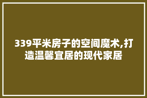 339平米房子的空间魔术,打造温馨宜居的现代家居