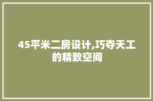 45平米二房设计,巧夺天工的精致空间