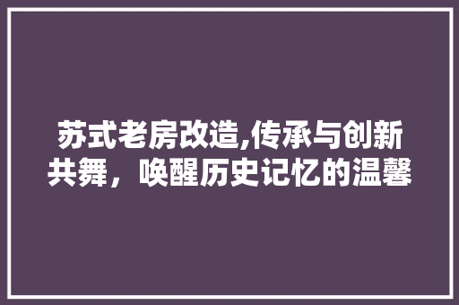 苏式老房改造,传承与创新共舞，唤醒历史记忆的温馨空间
