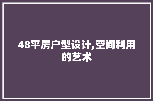 48平房户型设计,空间利用的艺术