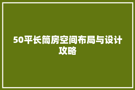 50平长筒房空间布局与设计攻略