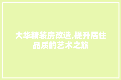 大华精装房改造,提升居住品质的艺术之旅