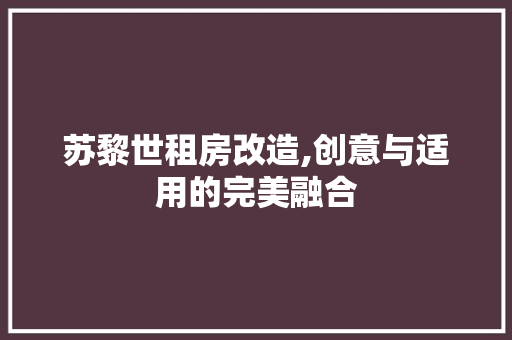 苏黎世租房改造,创意与适用的完美融合