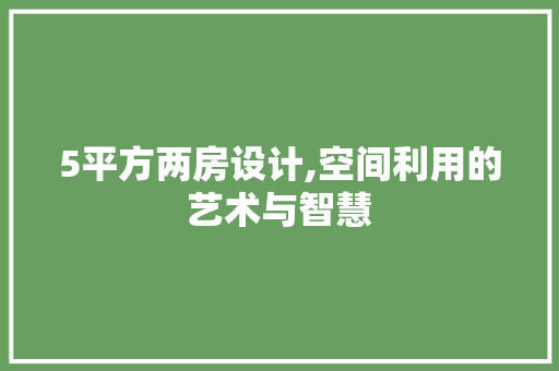 5平方两房设计,空间利用的艺术与智慧